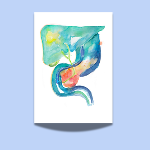 ERCP Gastroenterology Art