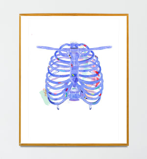 Rib cage Anatomy Artwork, Physical Therapy, Osteopathy, Chiropractic Anatomy Wall Art