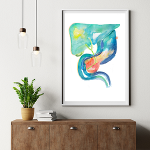 ERCP Gastroenterology Art