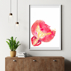 Bladder and Prostate Cross-section Watercolor Art Print