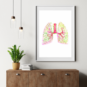 Lung and Pleural Lymph Node Anatomy Art Print