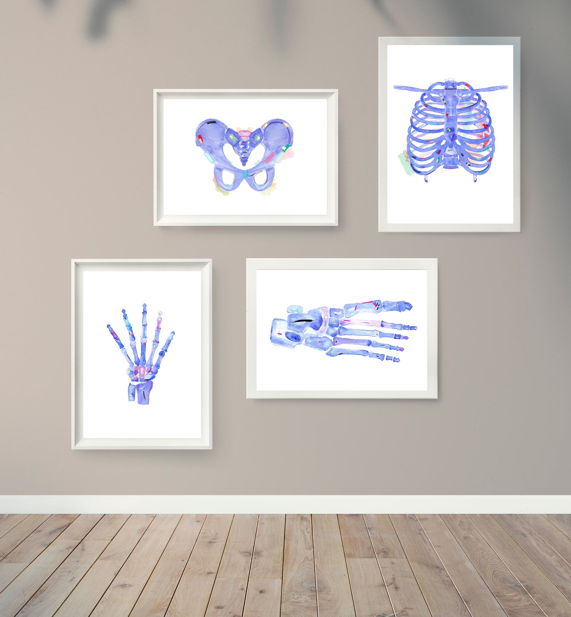Physical Therapy and Chiropractic Art Print Set of 4, Physical Therapist Gift, Orthopedic Surgeon Gift, Chiropractor Gift, Human Anatomy