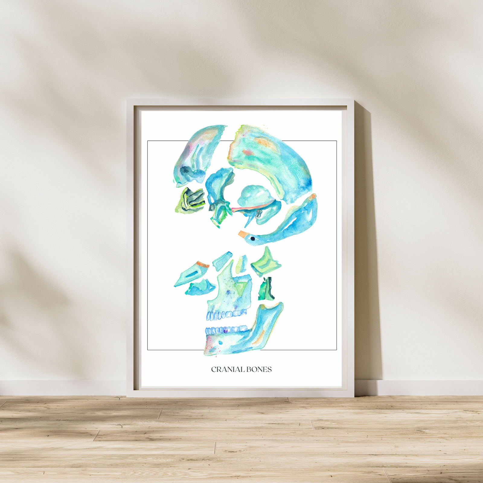 Cranial Bones Art Print