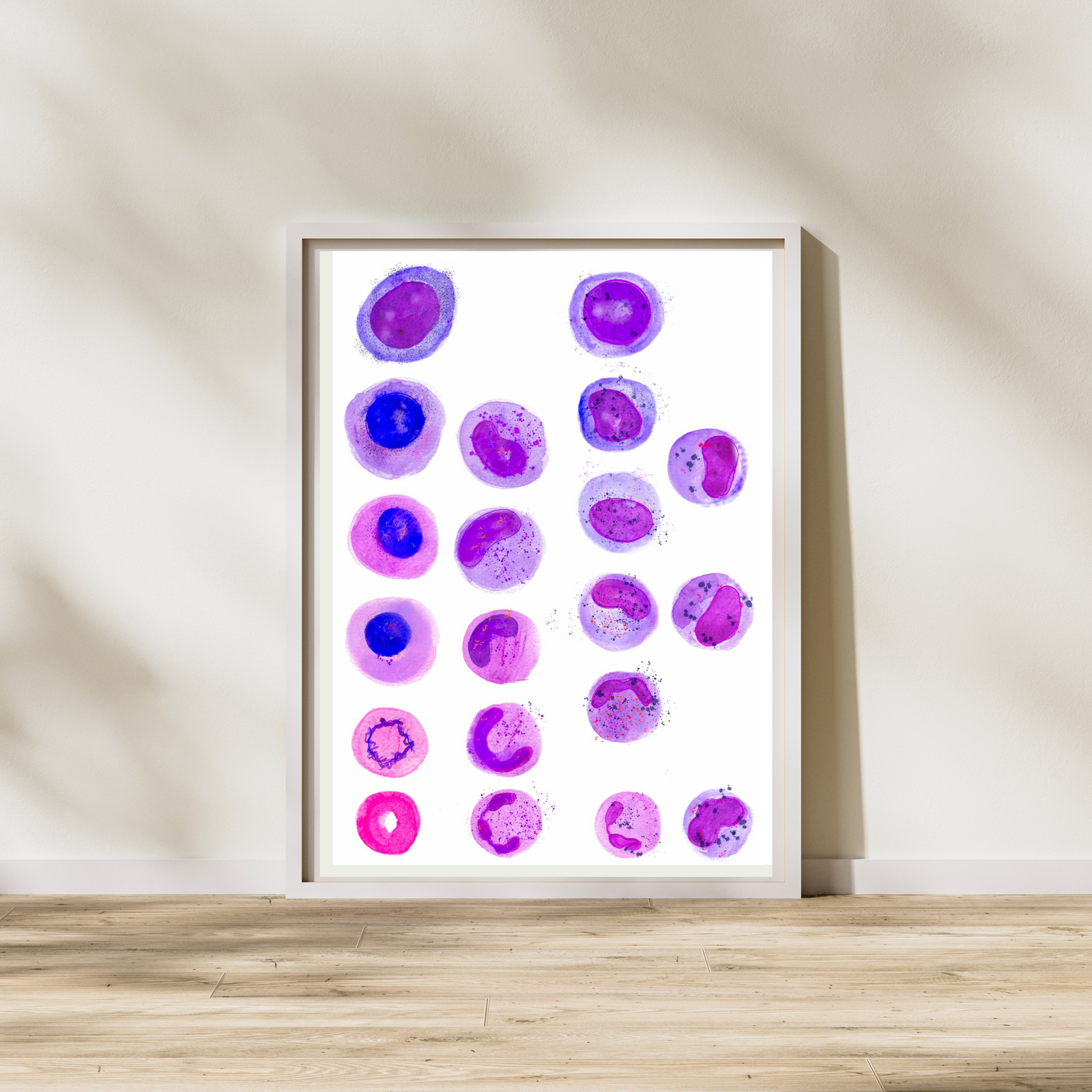 Hematopoiesis Art Print
