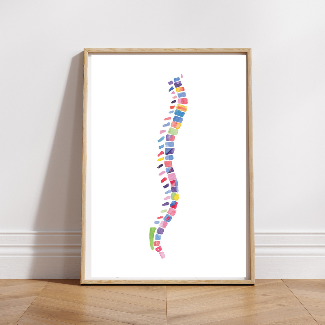 Spine Anatomy Abstract Chiropractor Art Print