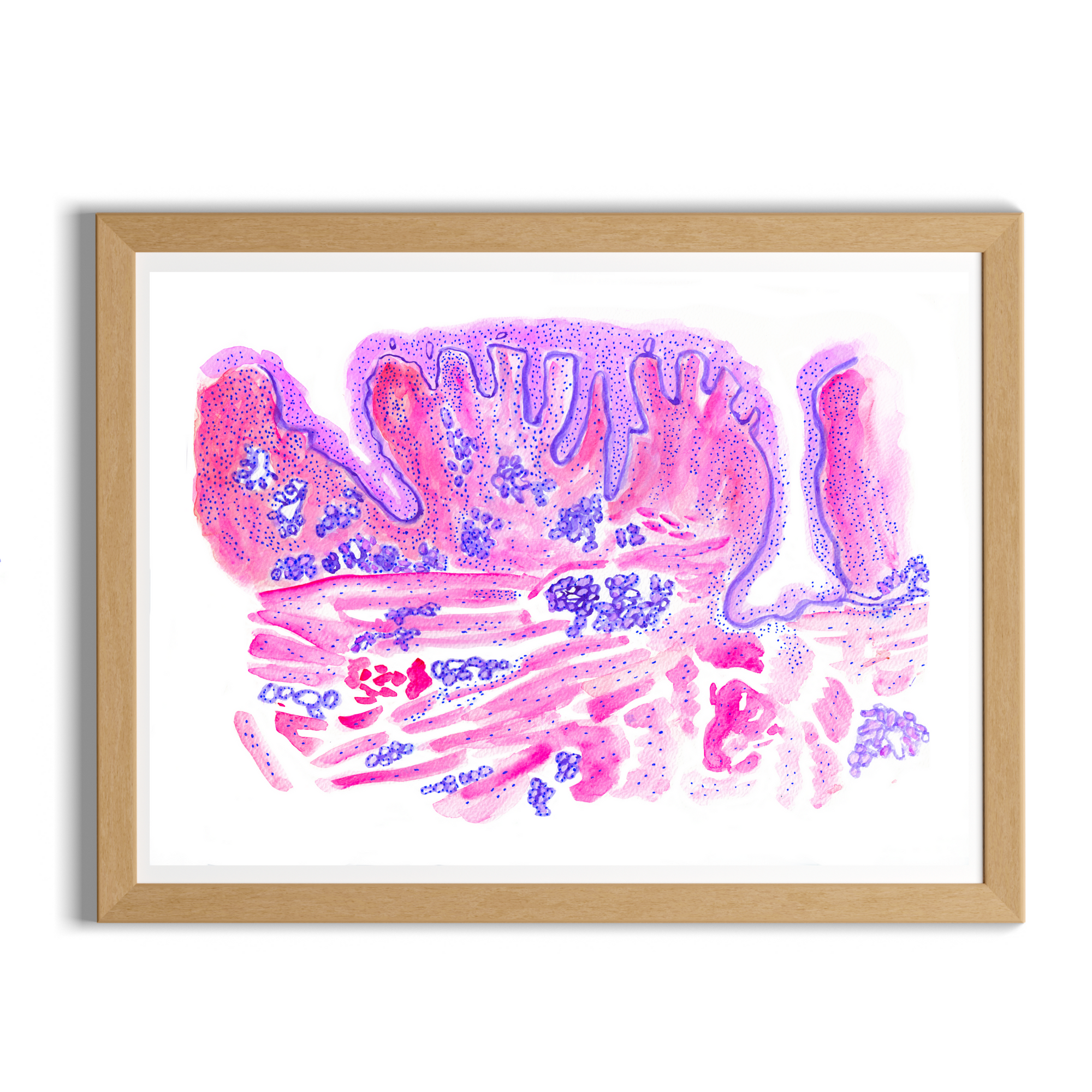 Tongue Histology Art Print