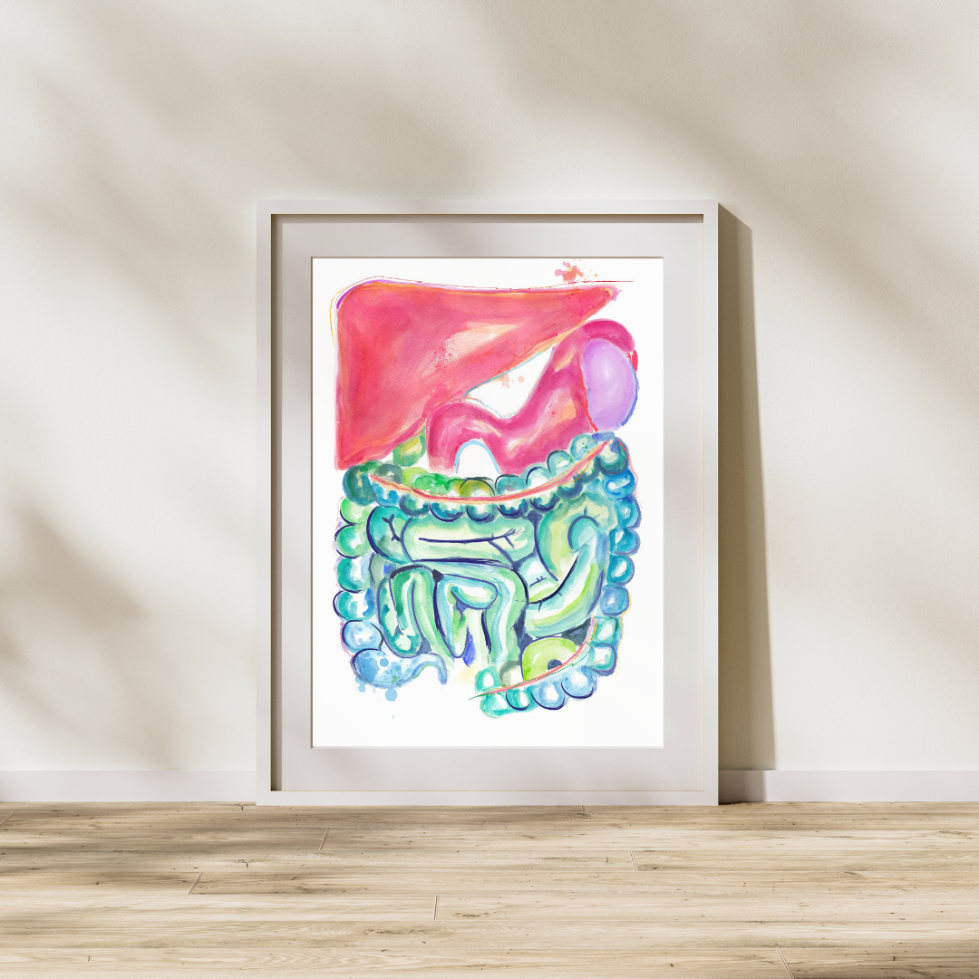 gastrointestinal watercolor art