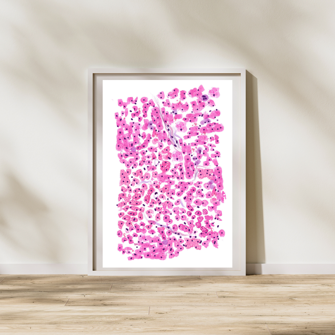 Cardiac Histology Art Print, Pathology Office Art