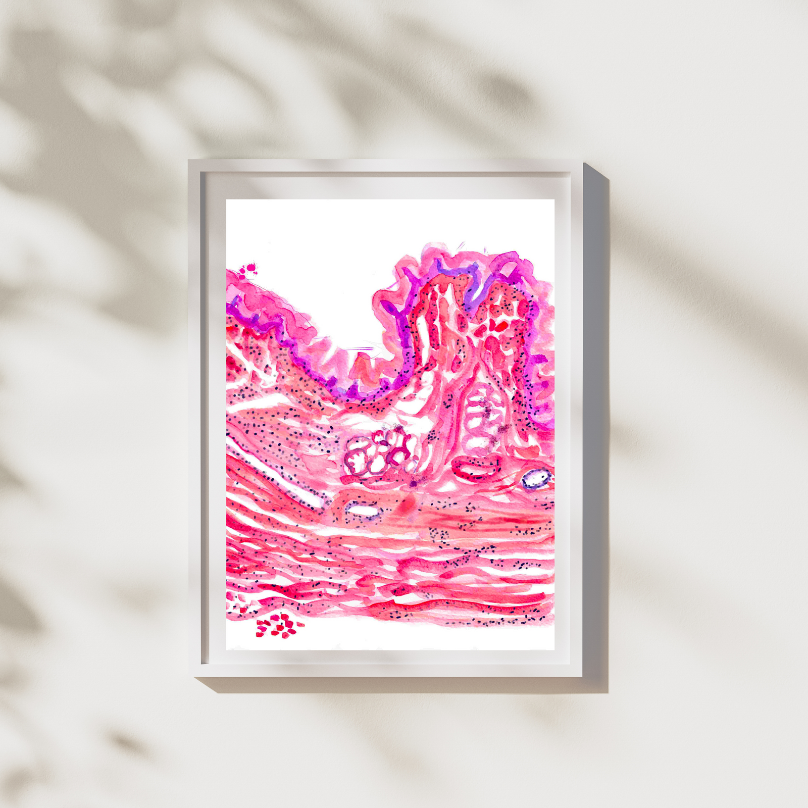 esophagus art histology
