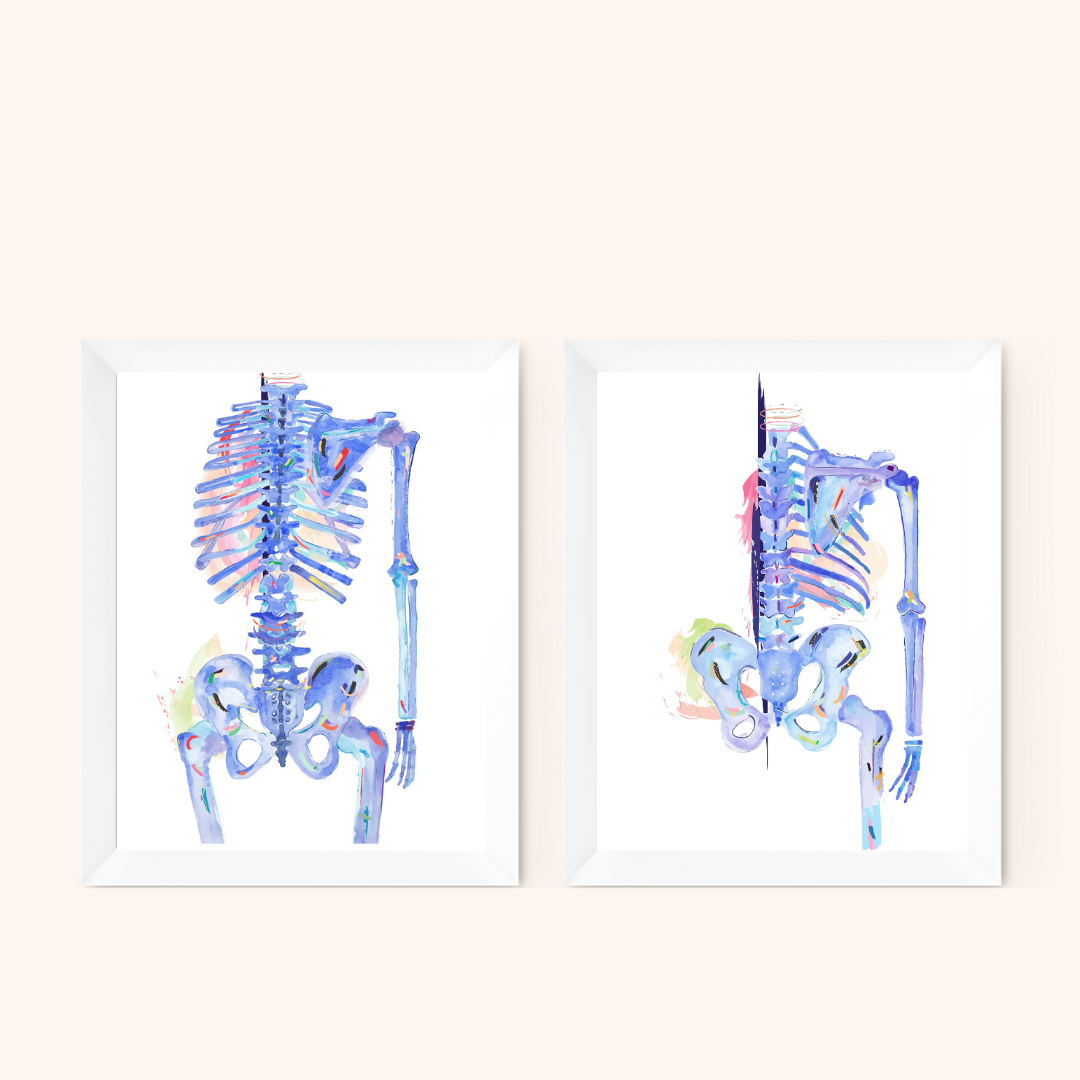 Human Skeleton Anatomy Art, Abstract Anatomy Artwork, Chiropractic Physical Therapy Office Art Decor, Physiotherapist Gift, Chiropractor