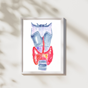 Thyroid Anatomy Art Print