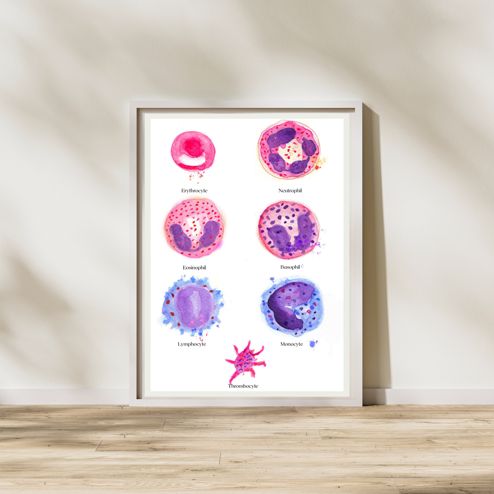 blood cell watercolor painting
