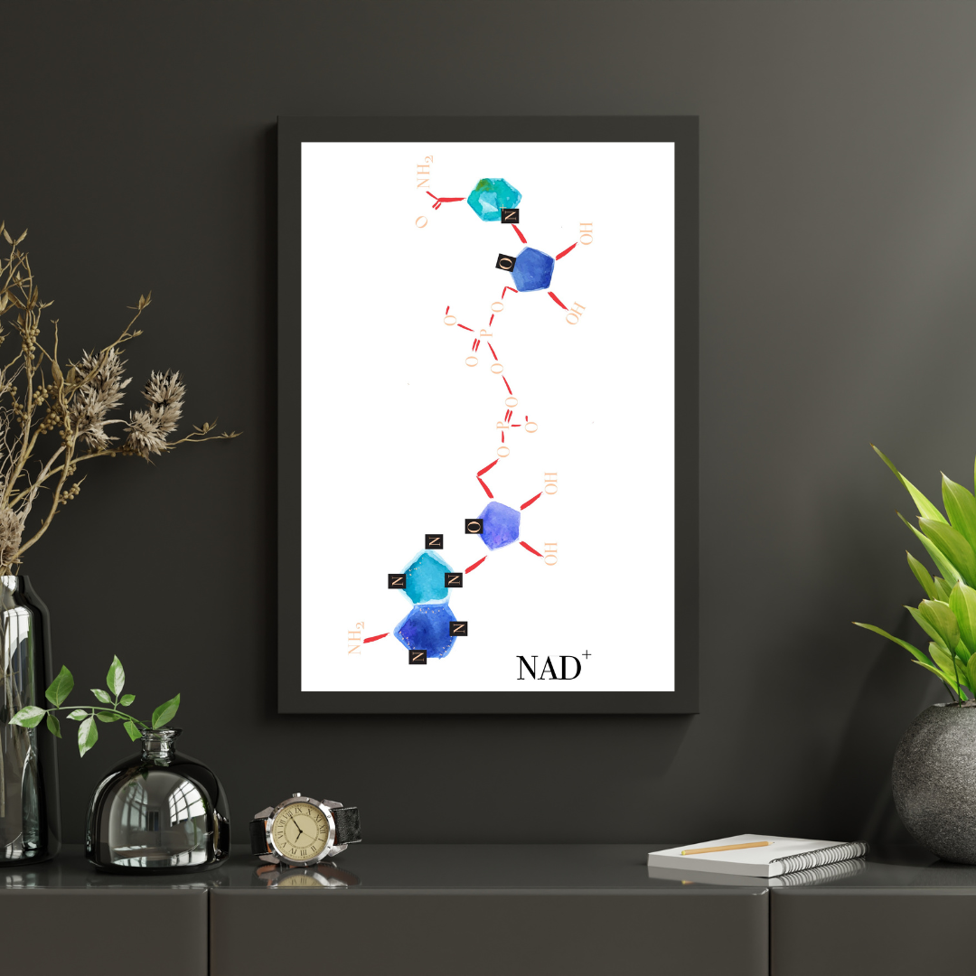 healthy life span molecule art