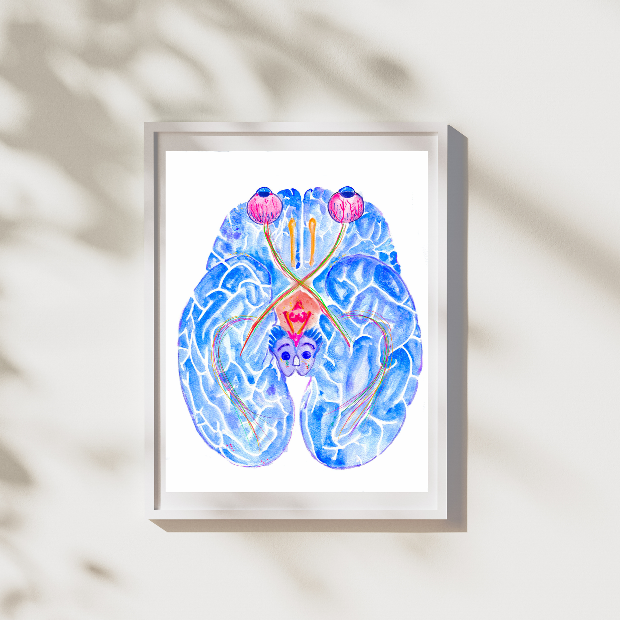 optic pathway anatomy art print