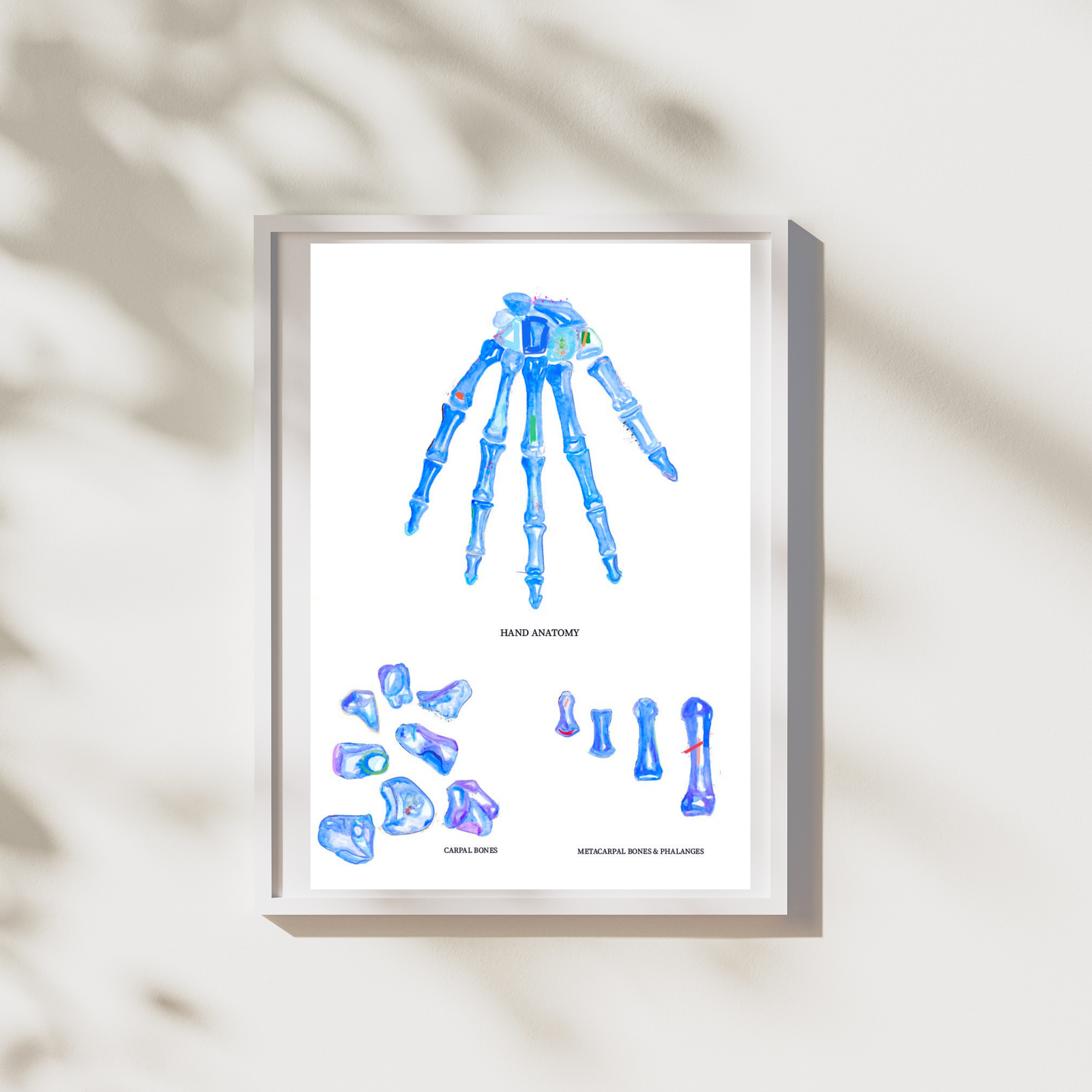 Hand Anatomy Art Print