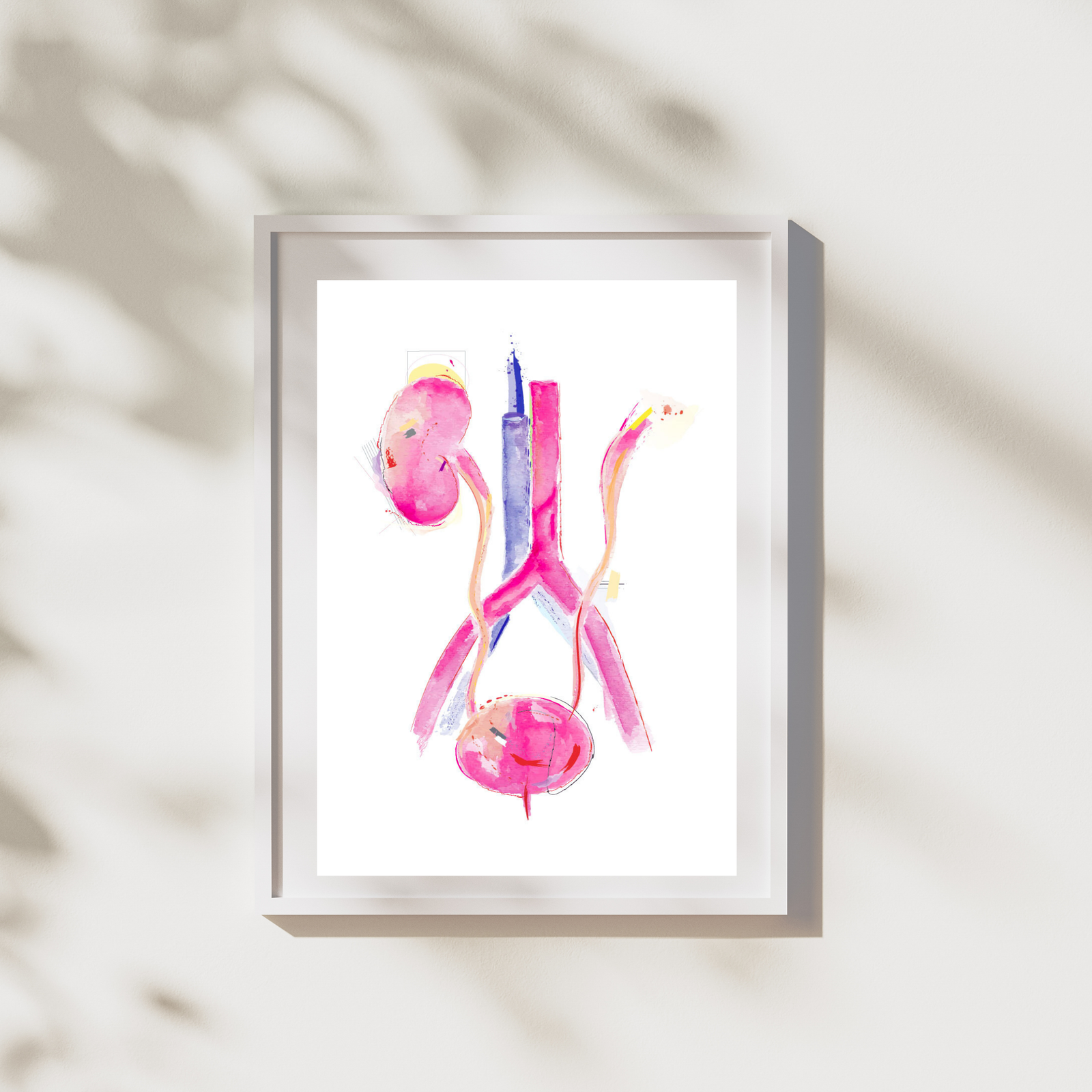 bladder anatomy art print