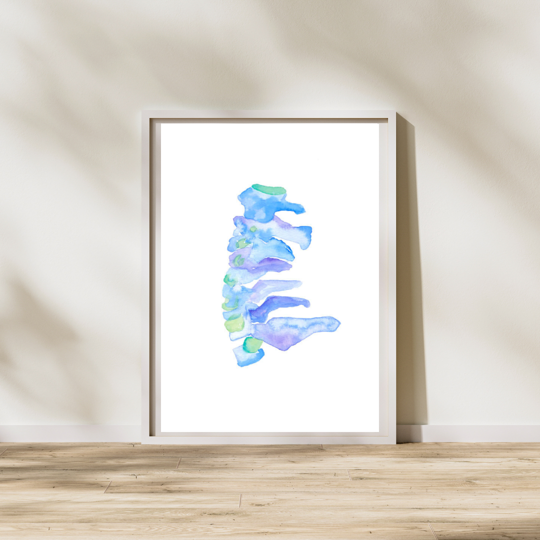cervical spine watercolor illustration