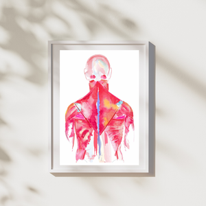 Back Muscle Anatomy Art Print