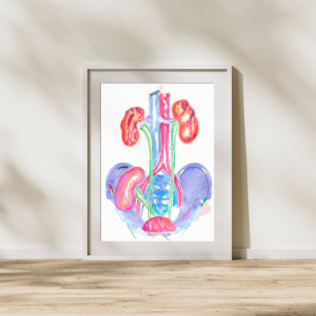 transplant surgeon gift