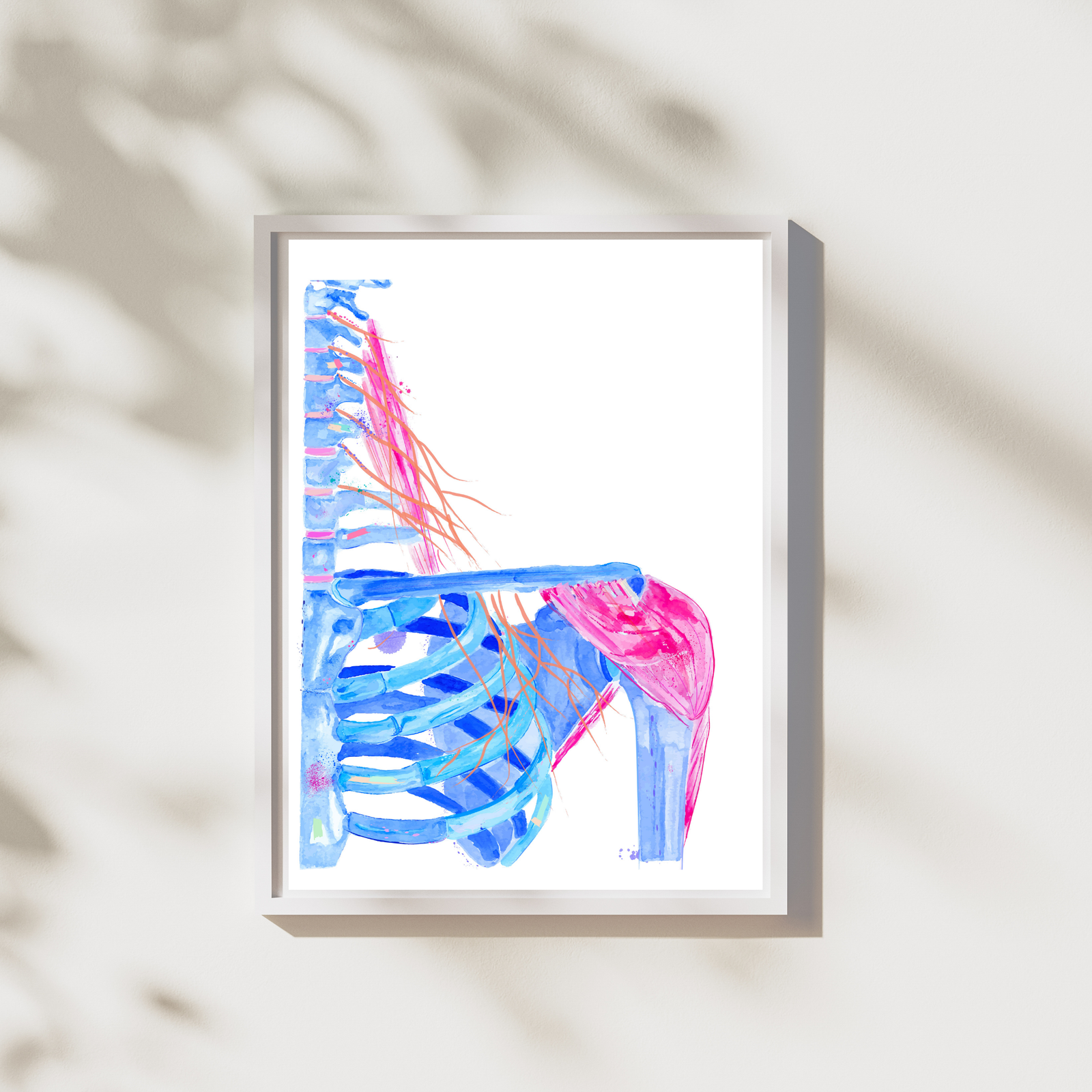 Cervical Plexus Abstract Anatomy Art