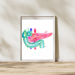 Pancreas Anatomy Art Watercolor Print