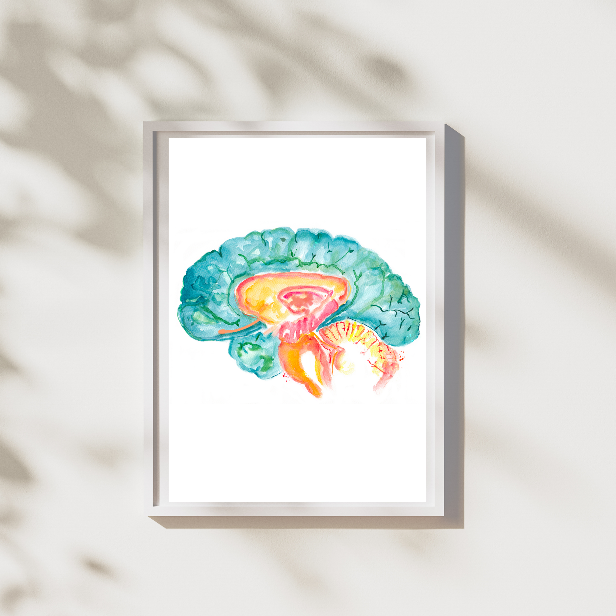 Hippocampus Brain Anatomy Art Print