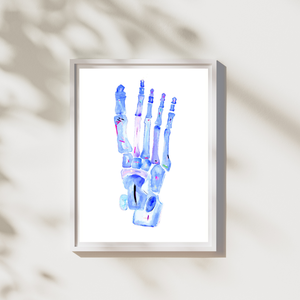Foot Anatomy Art
