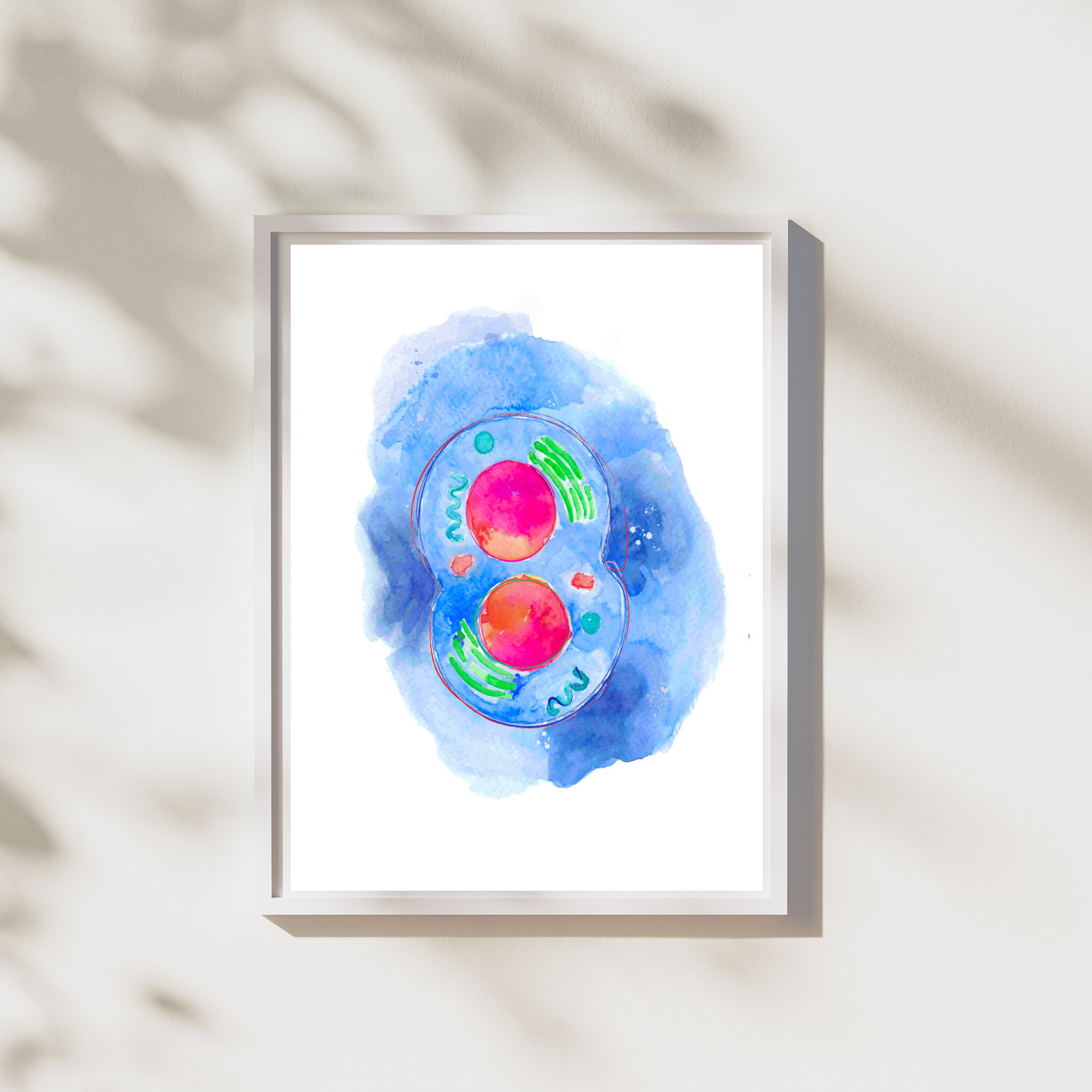 cell division watercolor painting
