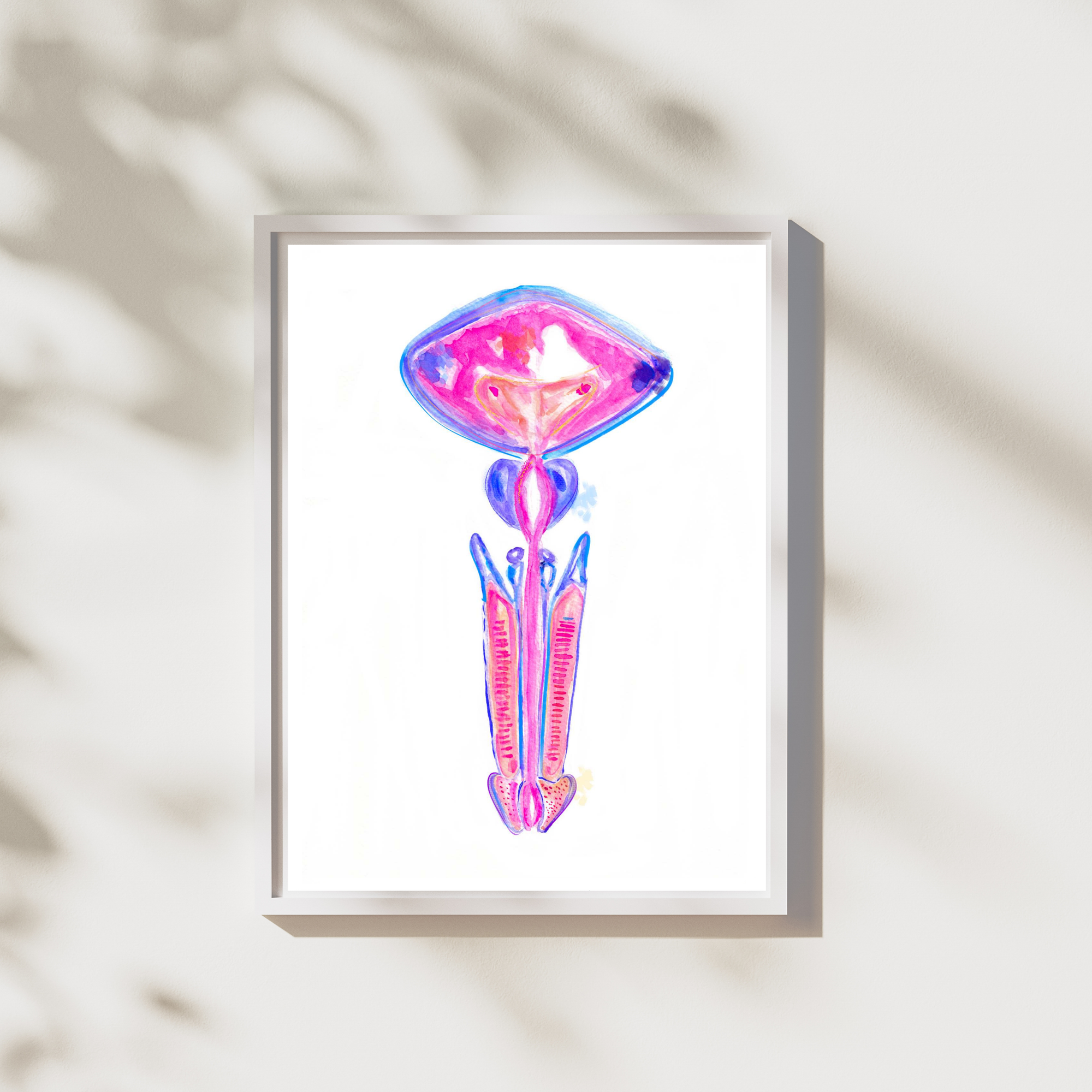 bladder prostate anatomy art print