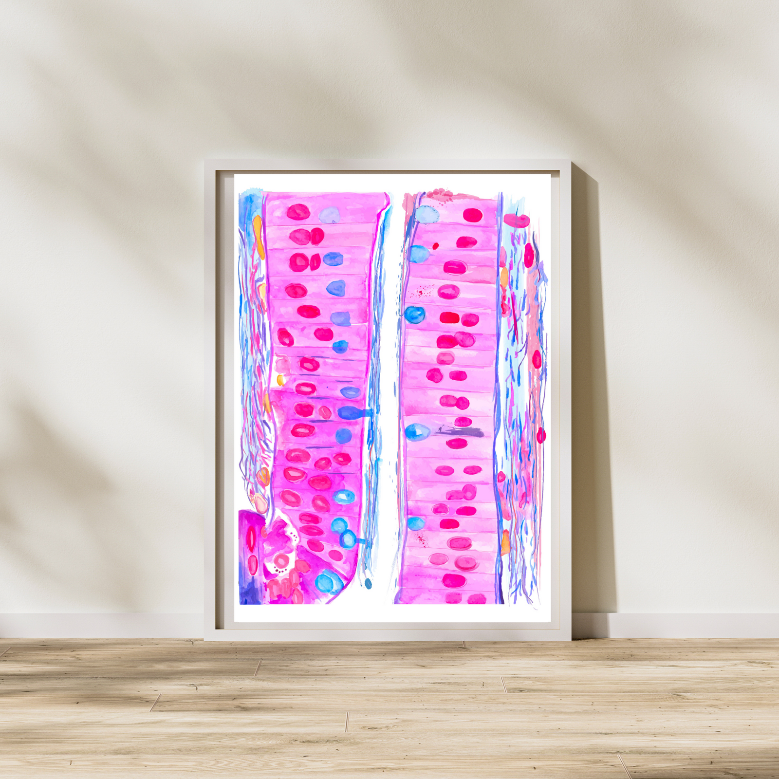 Duodenum Histology Art Print