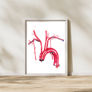 aorta anatomy artwork