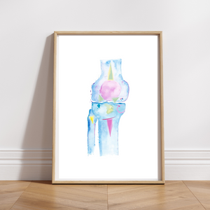 Knee Anatomy, Physical Therapy Art, Orthopedic Surgery Art