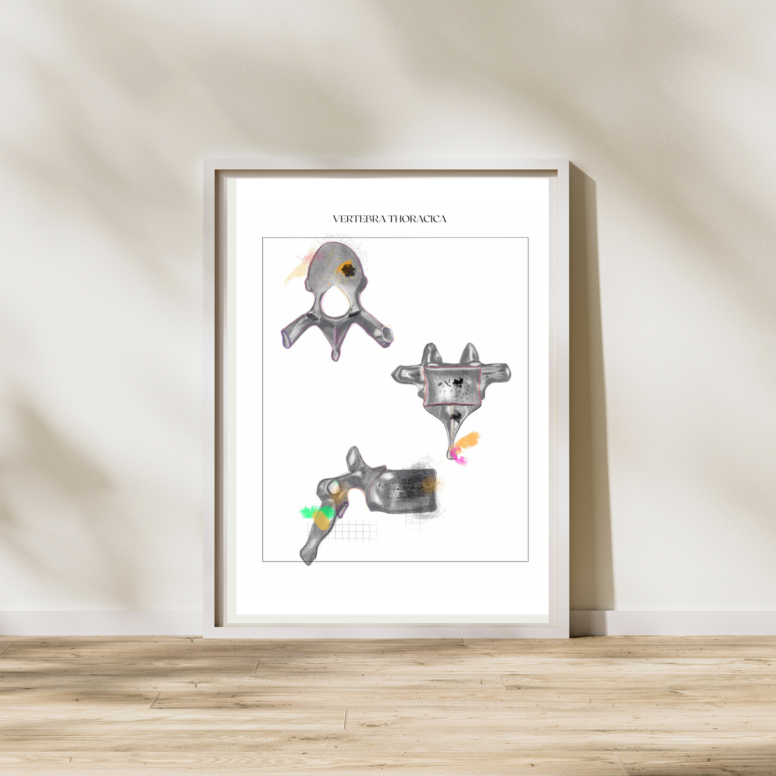 Thoracic Vertebra Anatomy Art