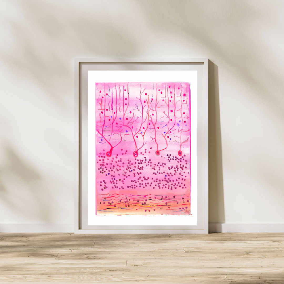 watercolor brain histology painting