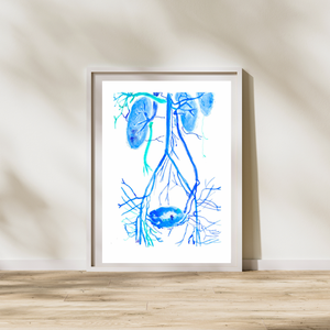 pelvic congestion watercolor art