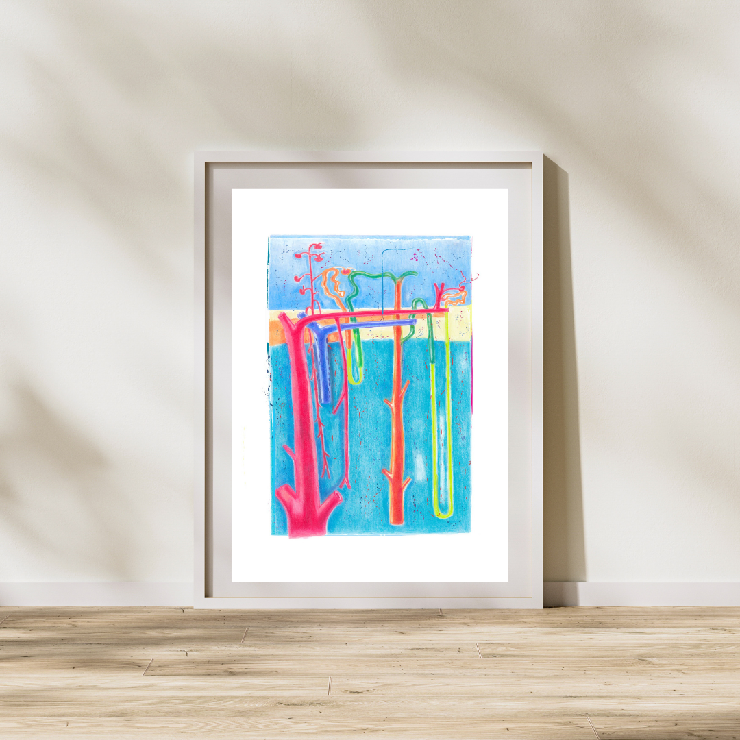 kidney vascular anatomy art print