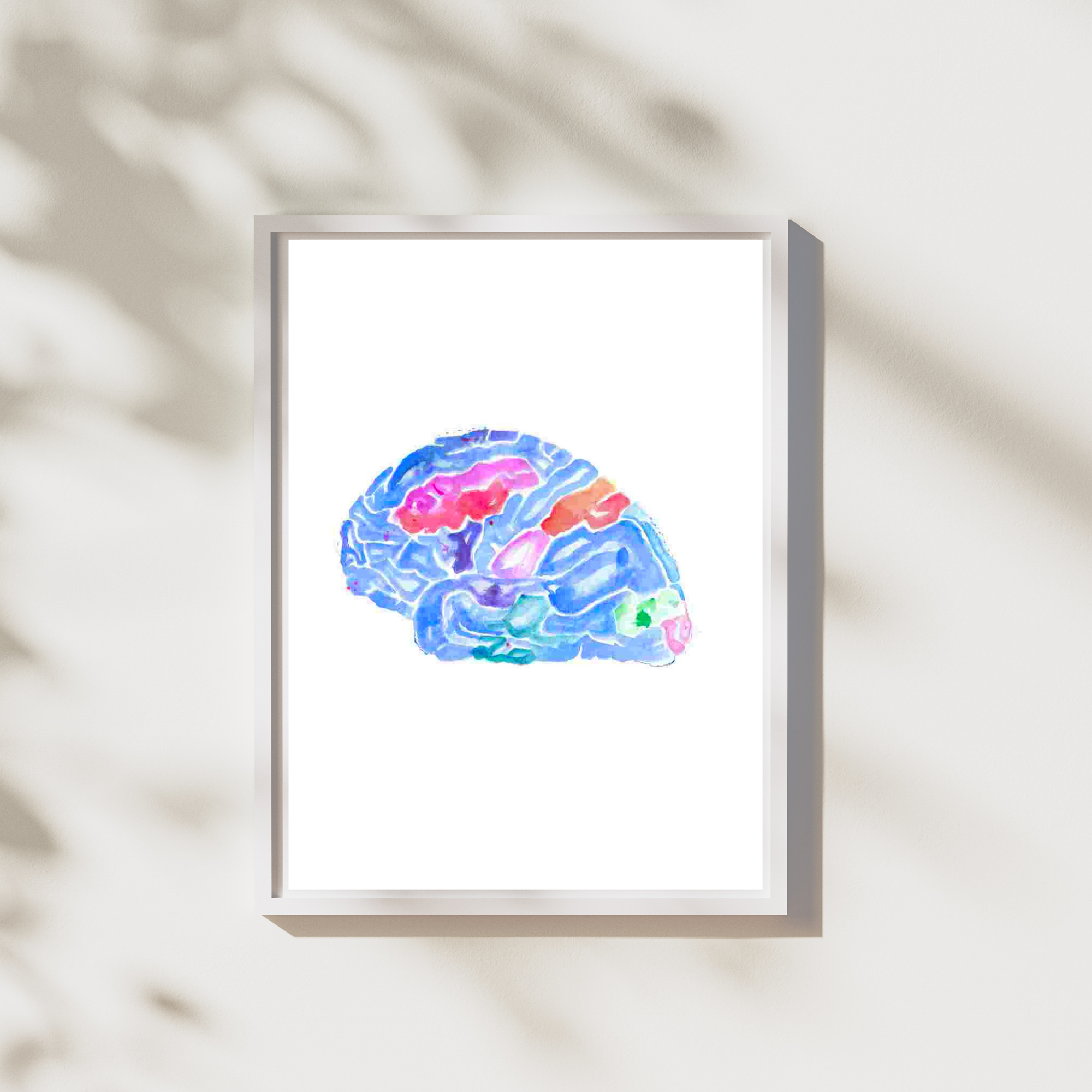 colorful brain anatomy watercolor art print