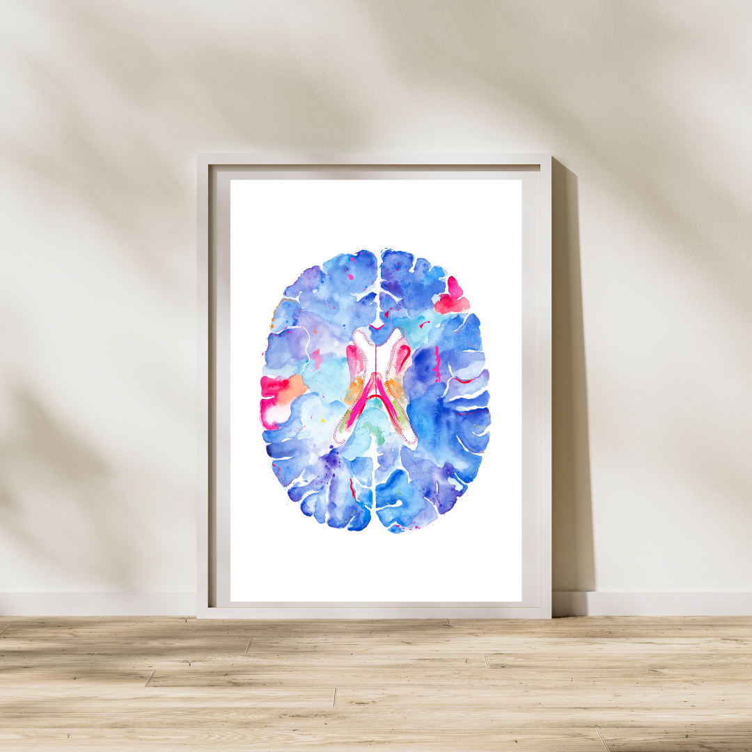 Brain Anatomy Art, Neuroscience Art, Neurologist Gift