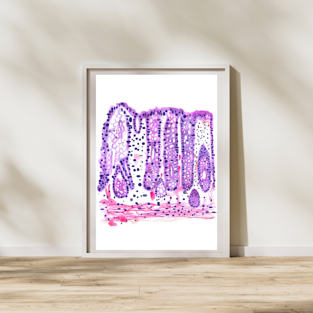 Colon Histology Art Print