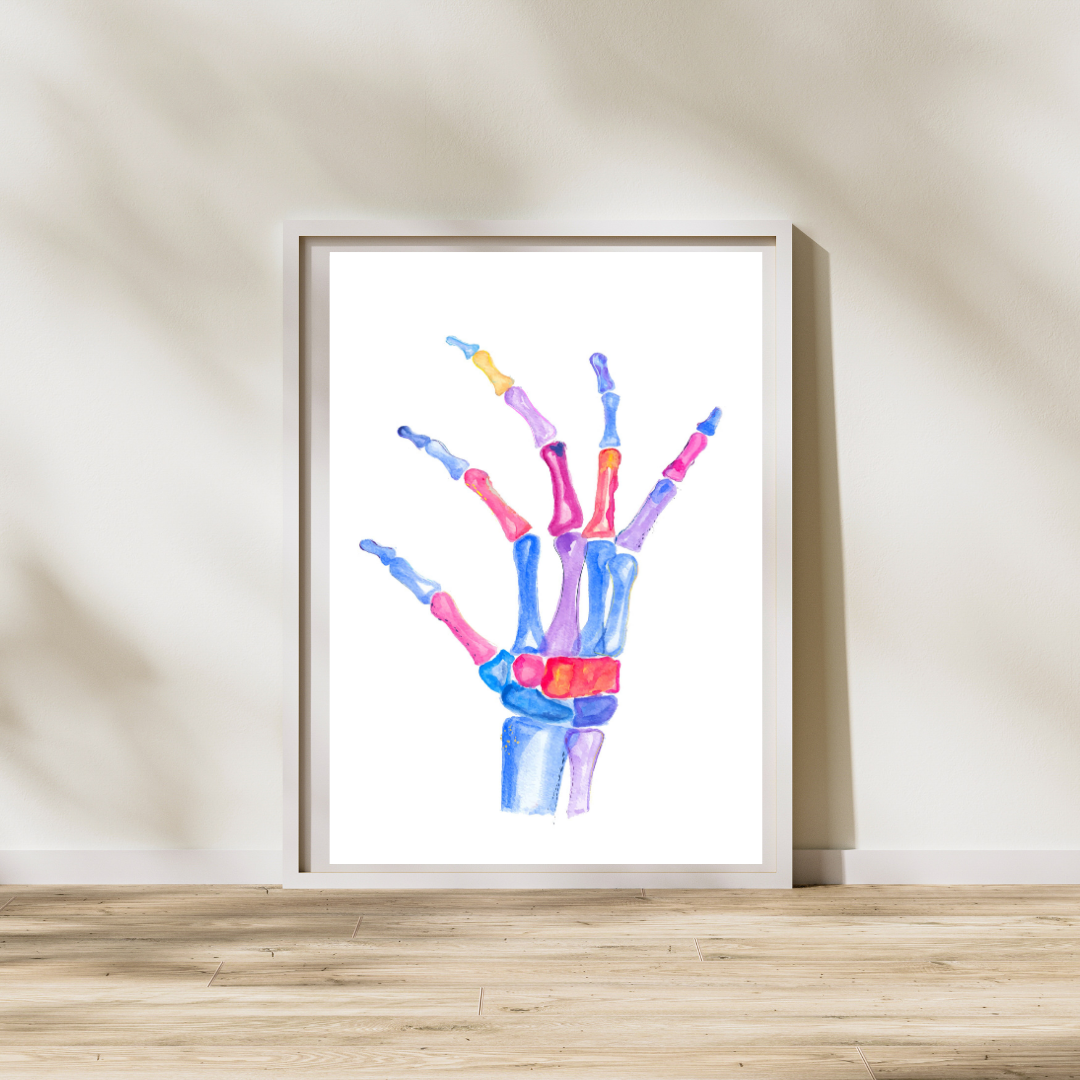 Hand Anatomy Orthopedic Surgery Physical Therapy Art Print