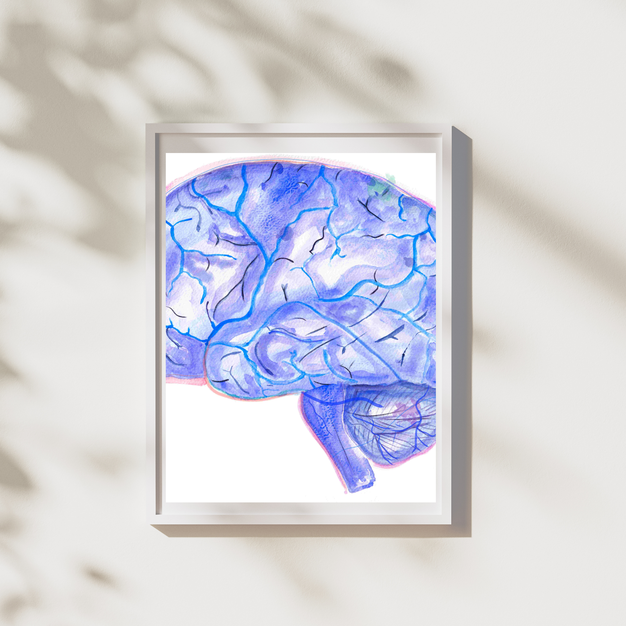 brain anatomy and veins anatomy art print