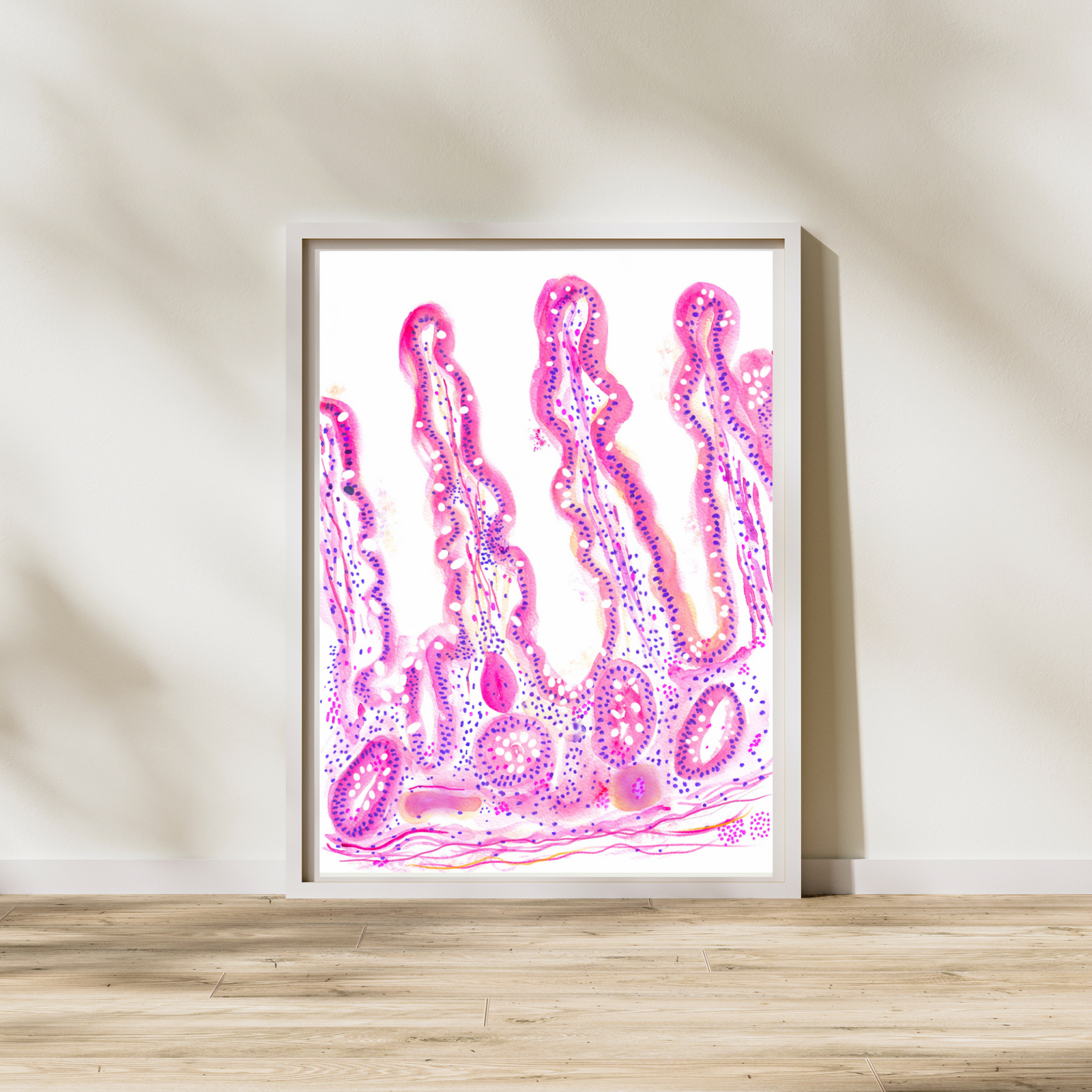 Jejunum Histology Art