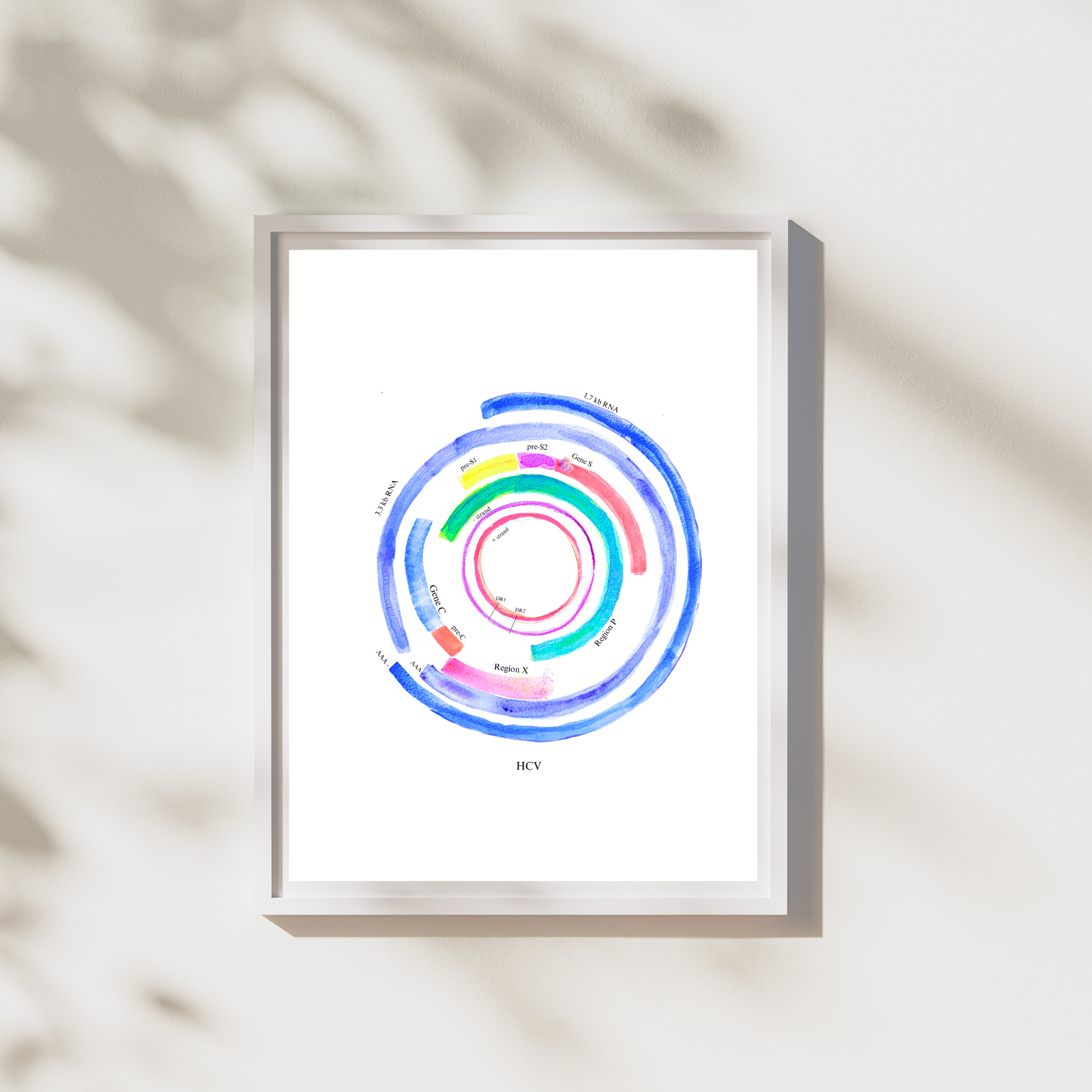 hepatitis c virus genome art print