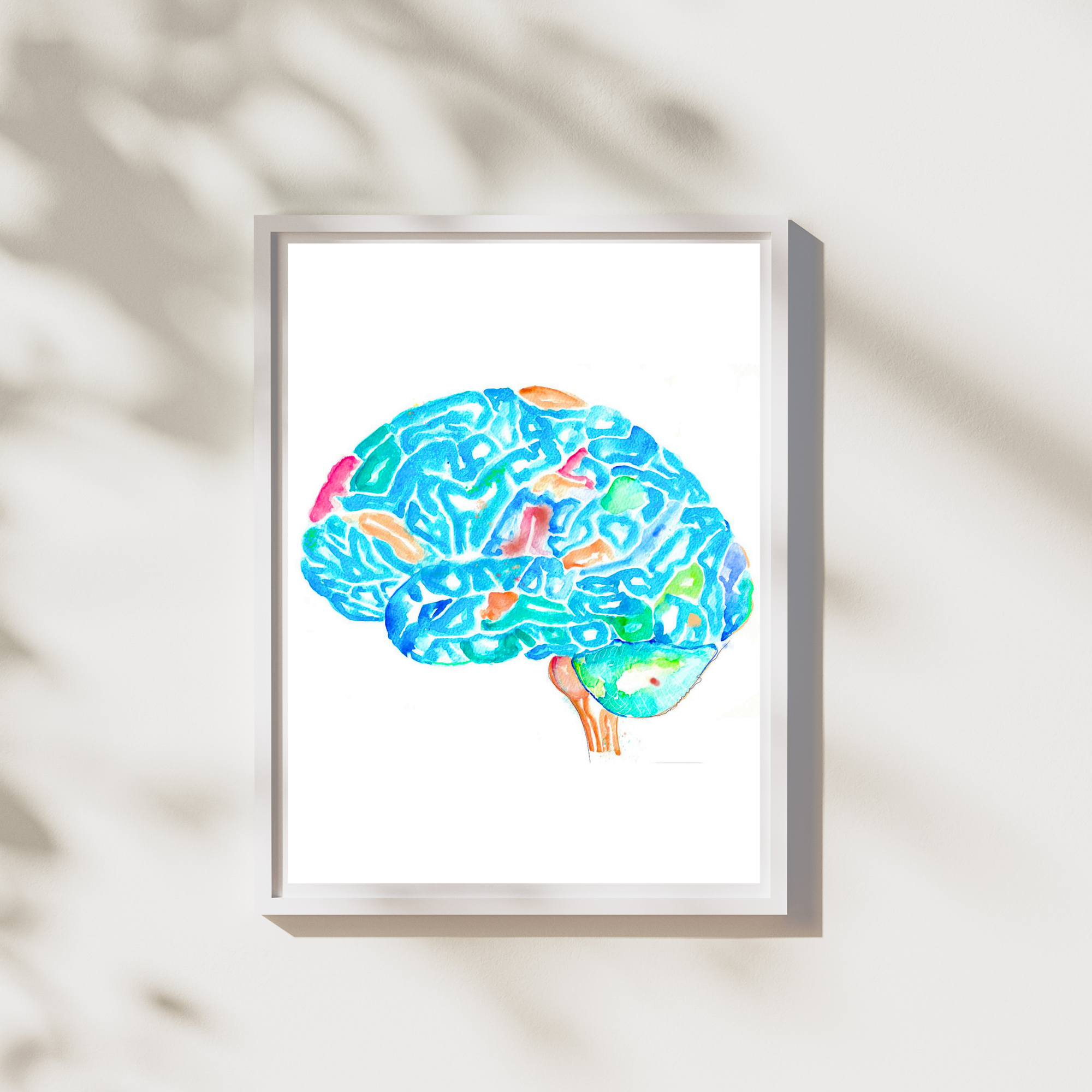 Brain Anatomy Art Print