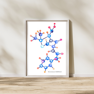 benzylpenicillin art print