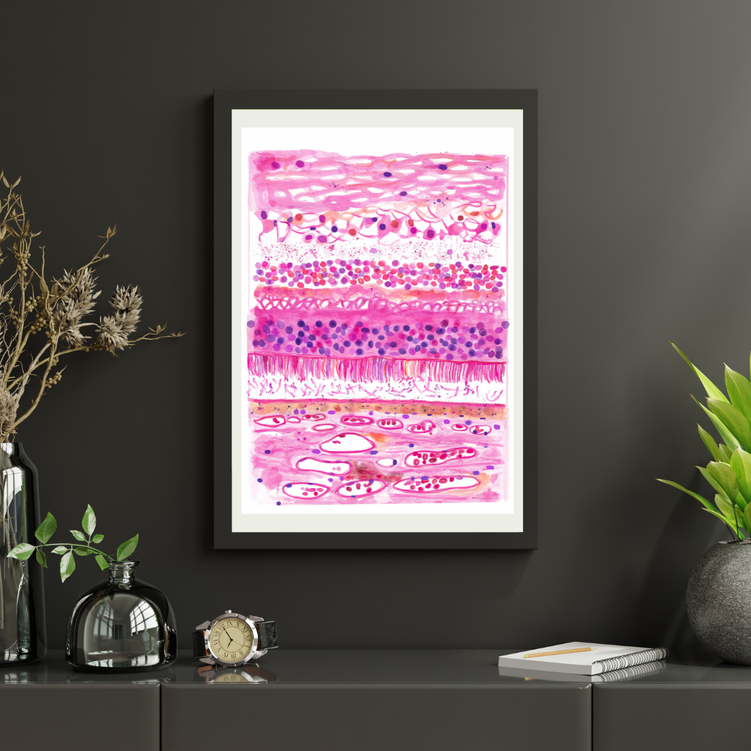 retina layer histology watercolor art
