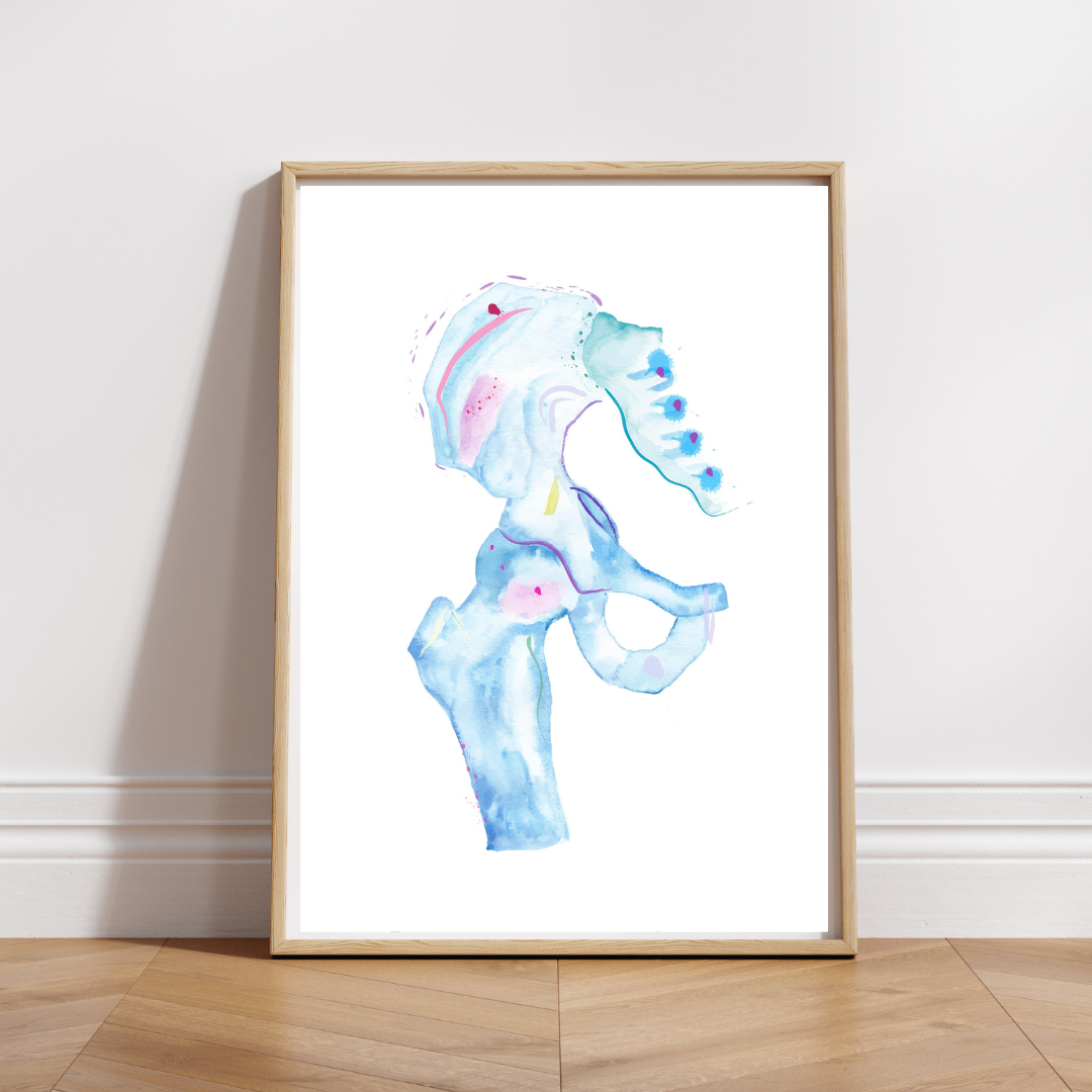 hip anatomy watercolor print