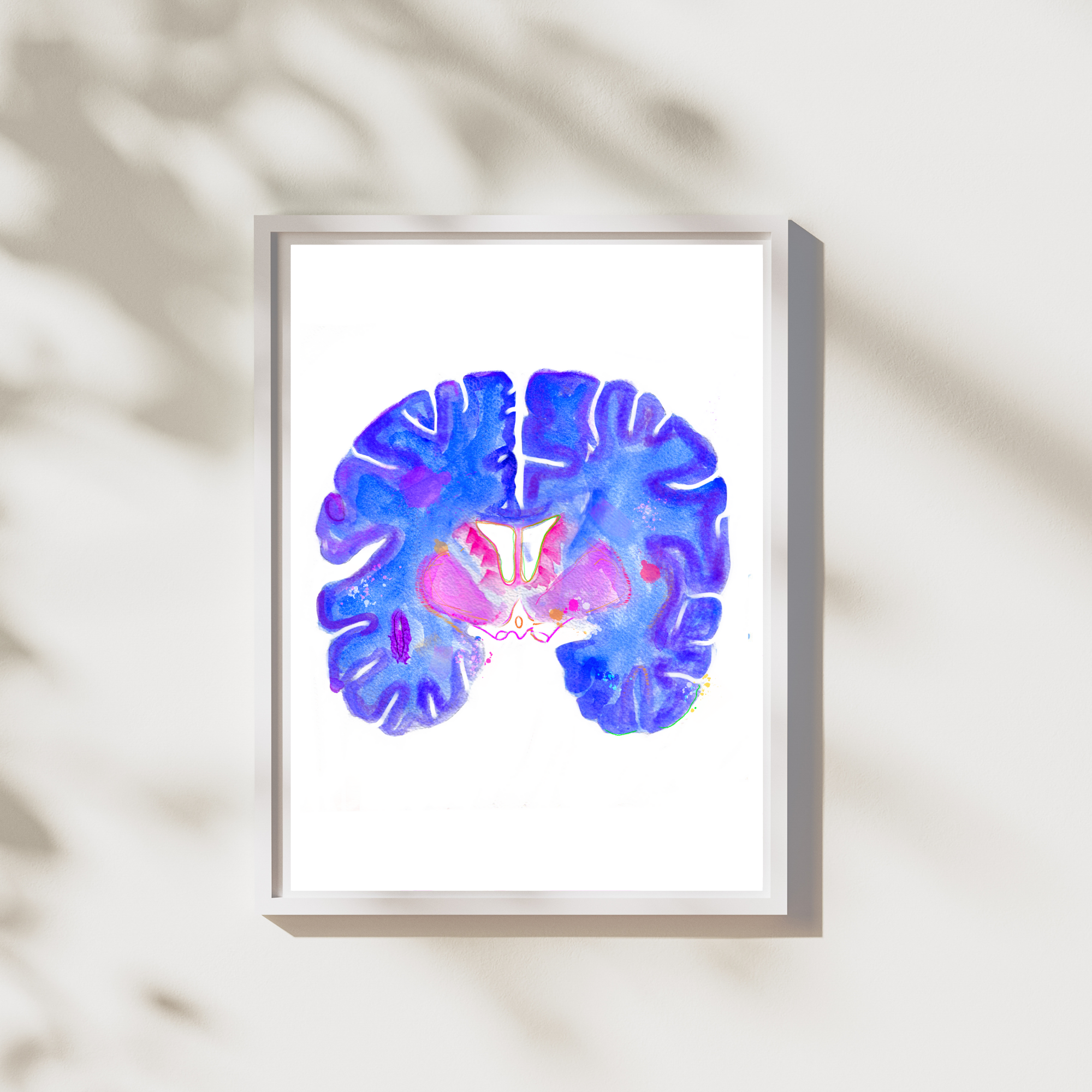 Brain Coronal Section Watercolor Art Print