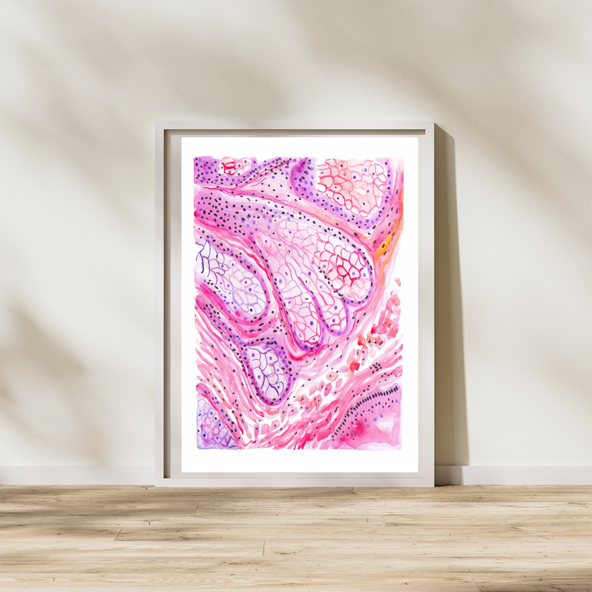 Sebaceous Gland Histology Art Print