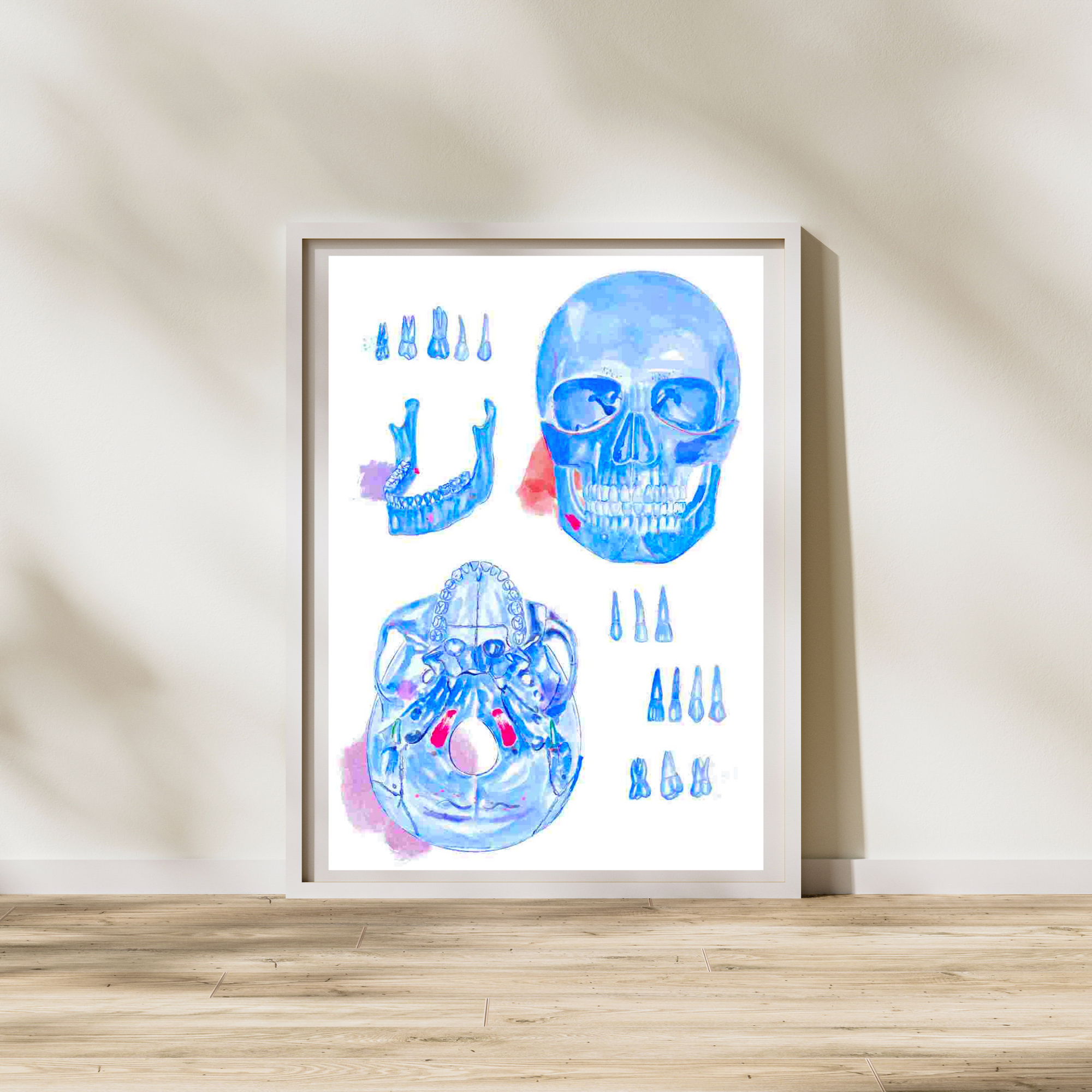 Human Anatomy Skull art Print, Dental Artwork